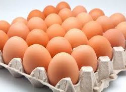 Maple de huevos de campo color - viviana