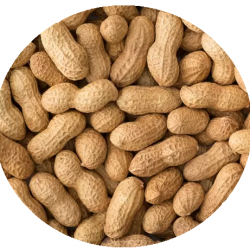 Mani con cascara 100g