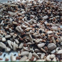 Mix de semillas 200gr (girasol, lino, sésamo integral y negro, amaranto y chia)