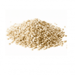 Semillas de quinoa
