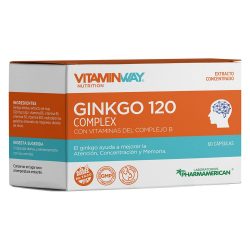 Ginkgo 120 complex x 10 comp - vitamin way