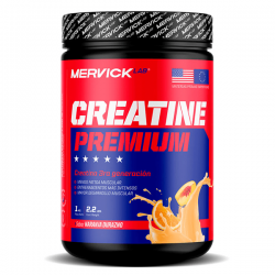Creatina fraccionada 100grs - mervick